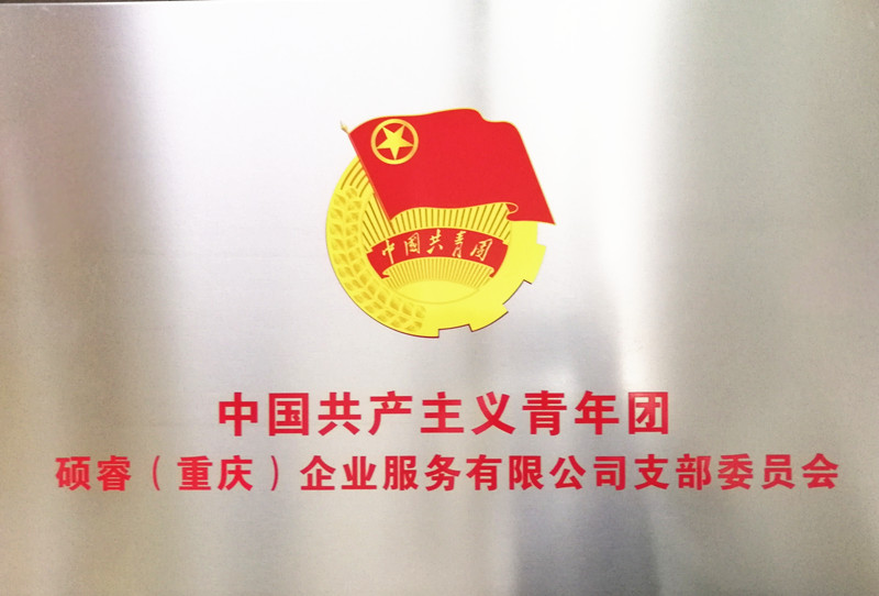 中国共产主义青年团（硕睿）支部委员会